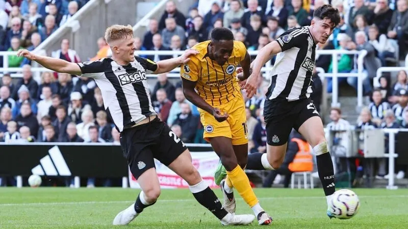 Dự đoán kết quả Brighton vs Newcastle